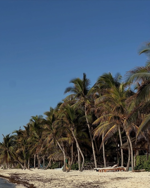 Рейтинг Pinterest: cамые модные направления для медового