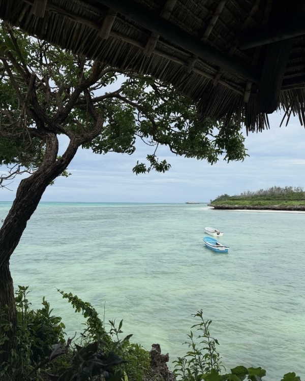 Рейтинг Pinterest: cамые модные направления для медового