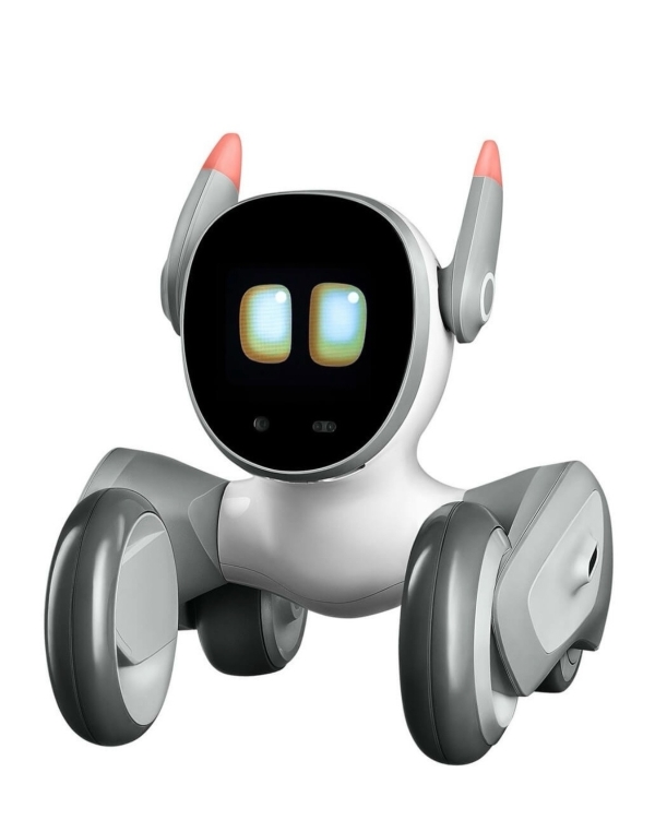 Что подарить жениху в день свадьбы?