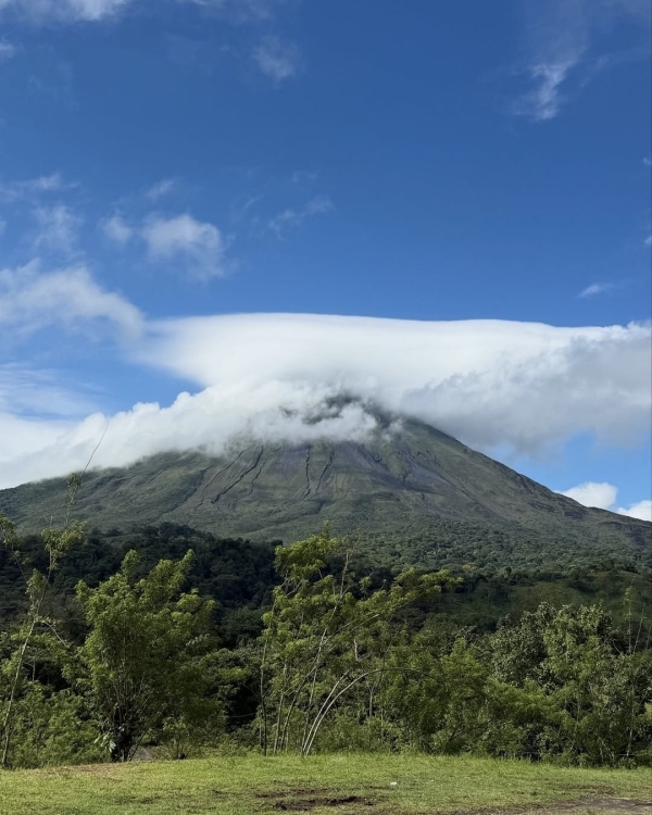 Рейтинг Pinterest: cамые модные направления для медового