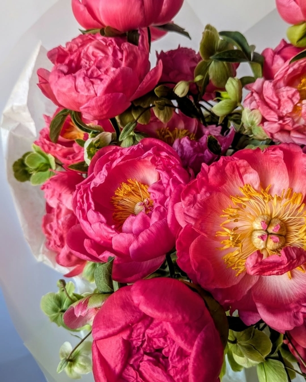 Где покупать цветы в Санкт-Петербурге?