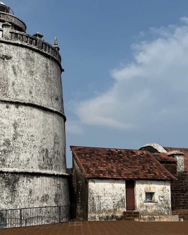 Рейтинг Pinterest: cамые модные направления для медового