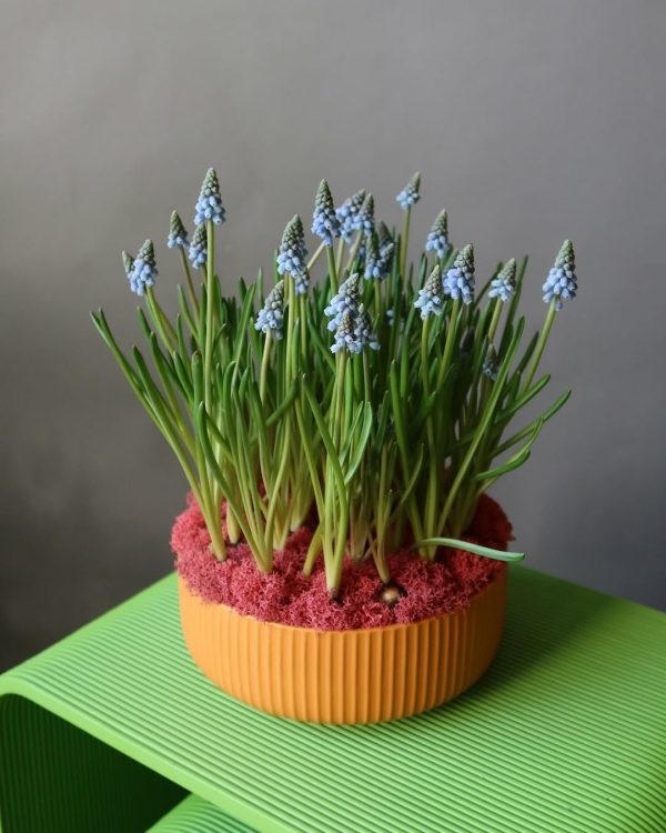 Где покупать цветы в Санкт-Петербурге?