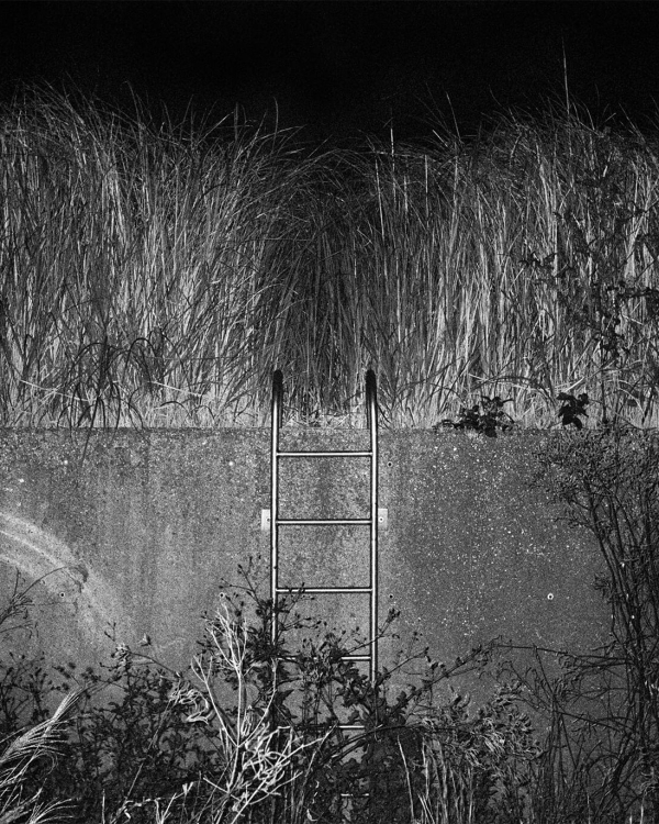 «Подвиг музея» в Пушкинском, ризотто-сморчетто в «Скворце»