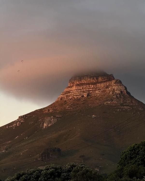 Рейтинг Pinterest: cамые модные направления для медового