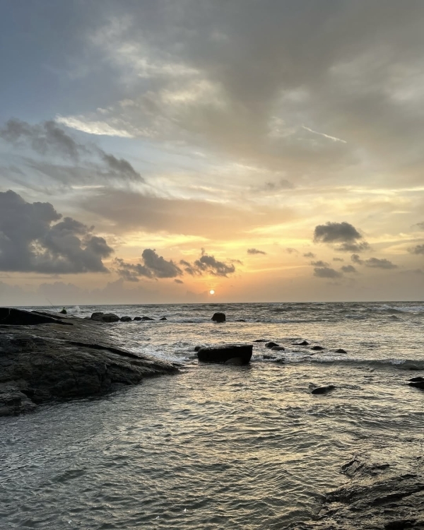 Рейтинг Pinterest: cамые модные направления для медового