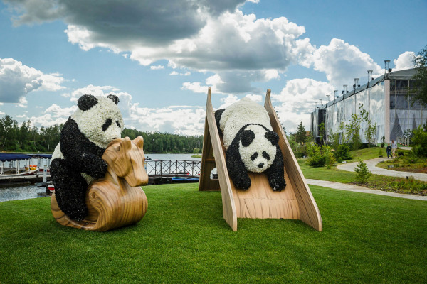 Площадки Agalarov Estate