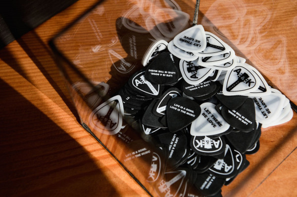 Коля и Алена: #thefrostwedding