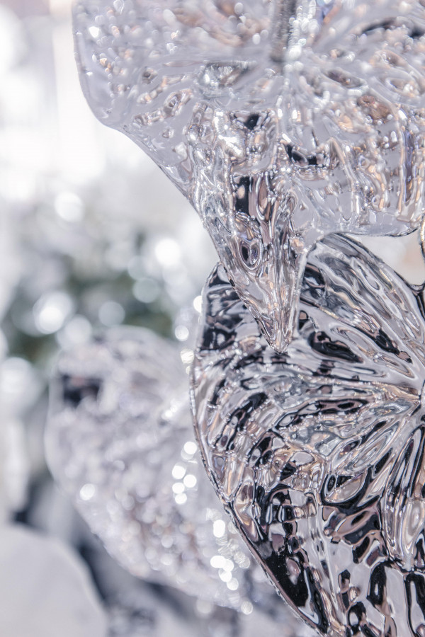 Ведущий Александр Белов и Ульяна Бердышева: свадьба,