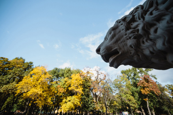 I’m thankful for that day