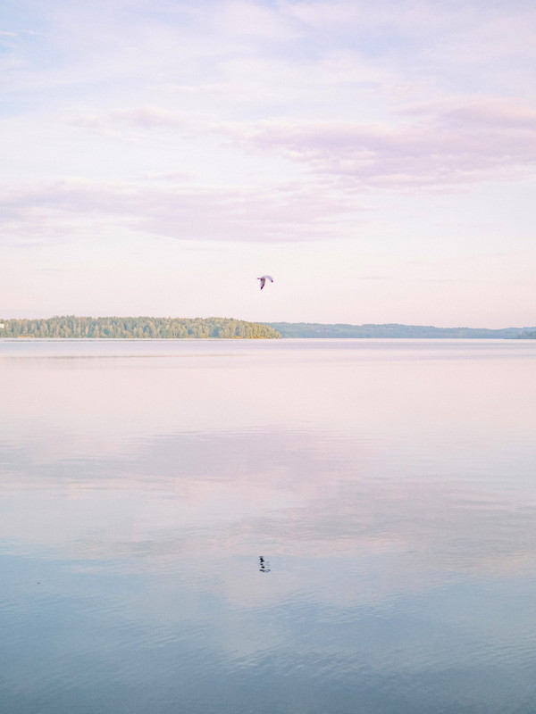 Свадьба в загородном бутик-отеле