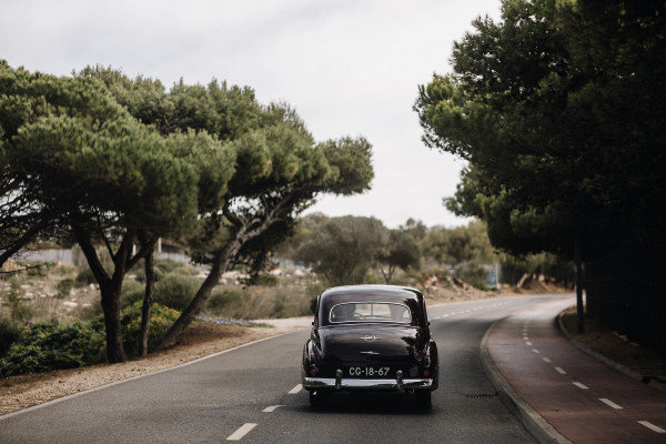 Свадьба в стиле Дня мертвых
