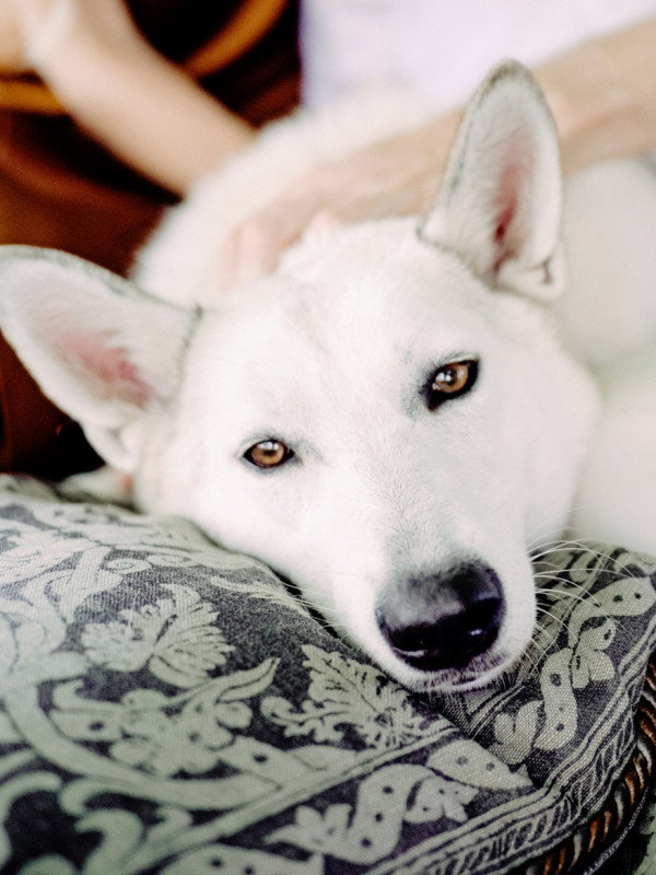 Свадьба в загородном бутик-отеле