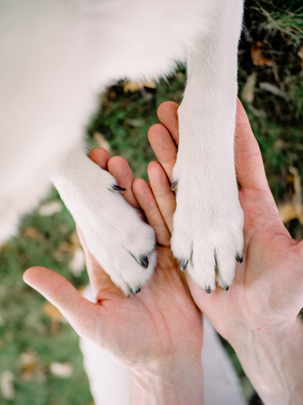 Свадьба в загородном бутик-отеле