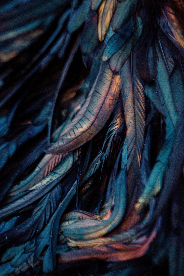 «Хочу самую необычную свадьбу»: 3 решения агентства