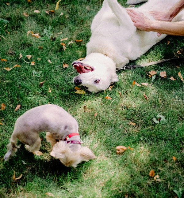 Свадьба в загородном бутик-отеле
