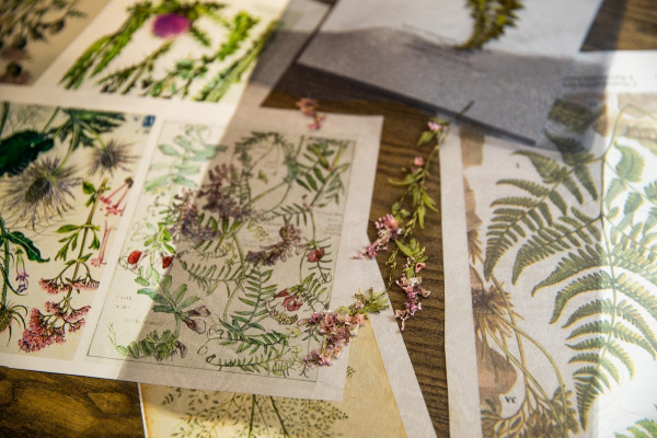 Свадебные платья Edem — современное прочтение Ренессанса