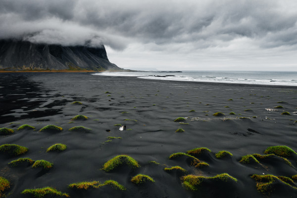 Фотографы Игорь Булгак