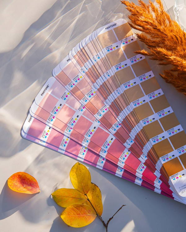 Самые модные цвета сезона осень-зима и как