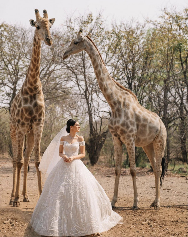 Все о свадьбе Марии Солодар в Африке