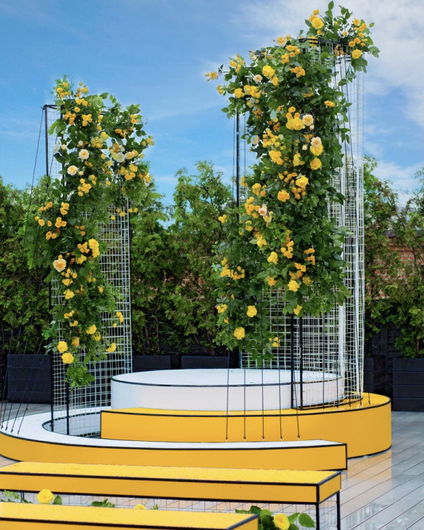 Зелень в свадебном оформлении: идеи и реальные