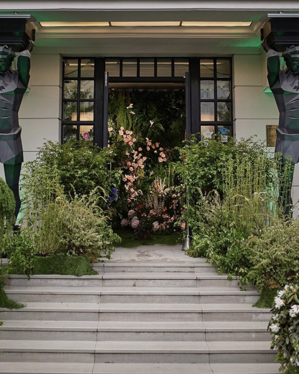 Украшение витрин: современная альтернатива декору