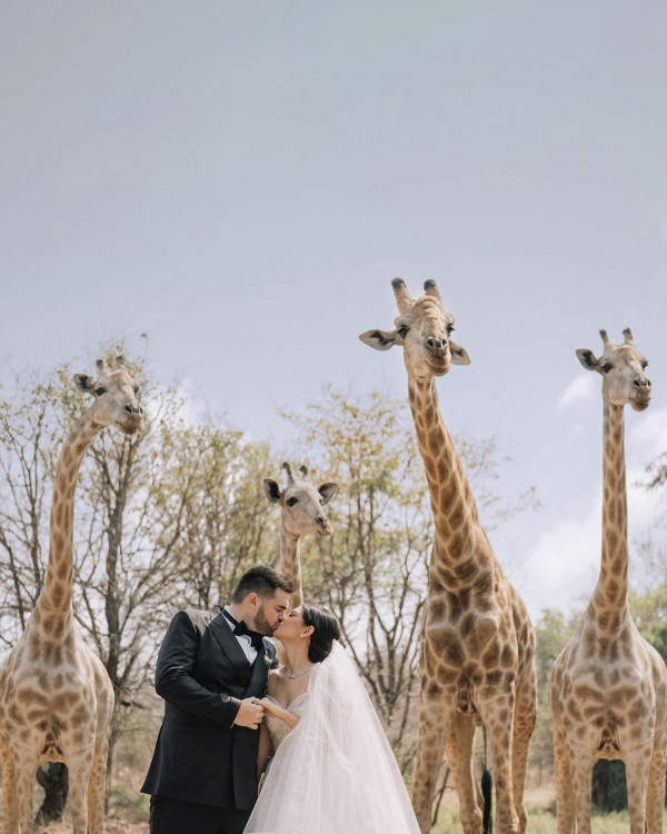 Все о свадьбе Марии Солодар в Африке