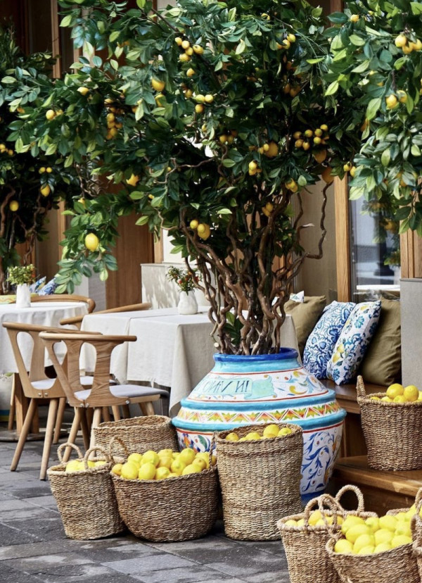 Украшение витрин: современная альтернатива декору