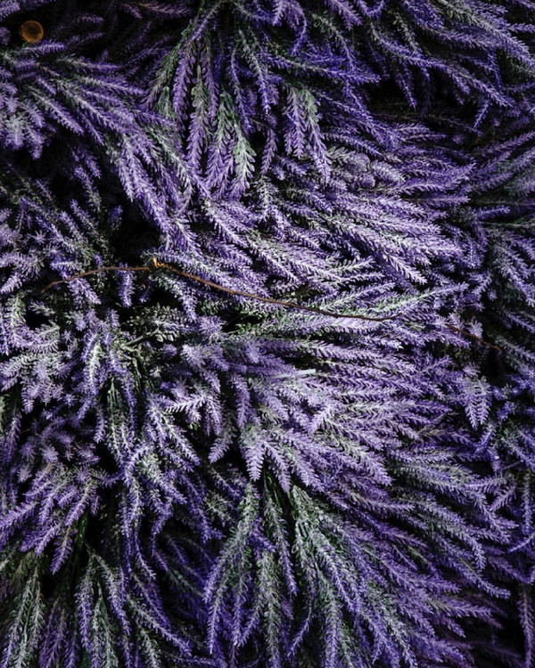 Украшение витрин: современная альтернатива декору