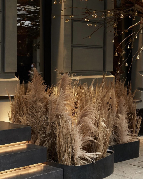 Украшение витрин: современная альтернатива декору