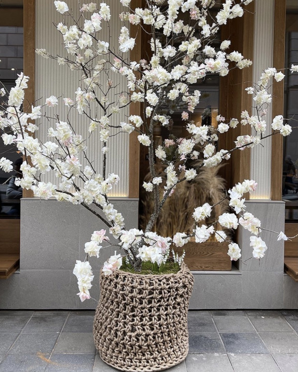 Украшение витрин: современная альтернатива декору