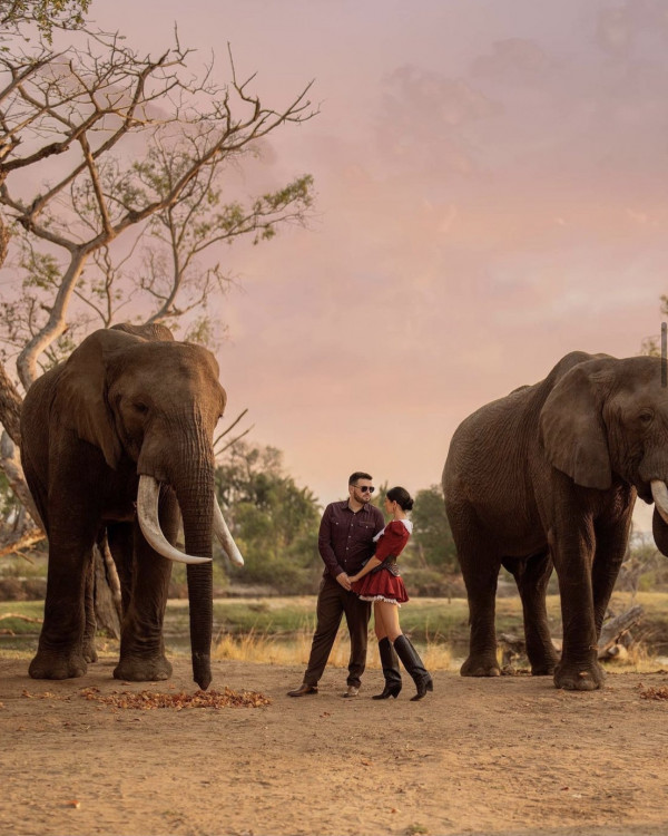 Все о свадьбе Марии Солодар в Африке