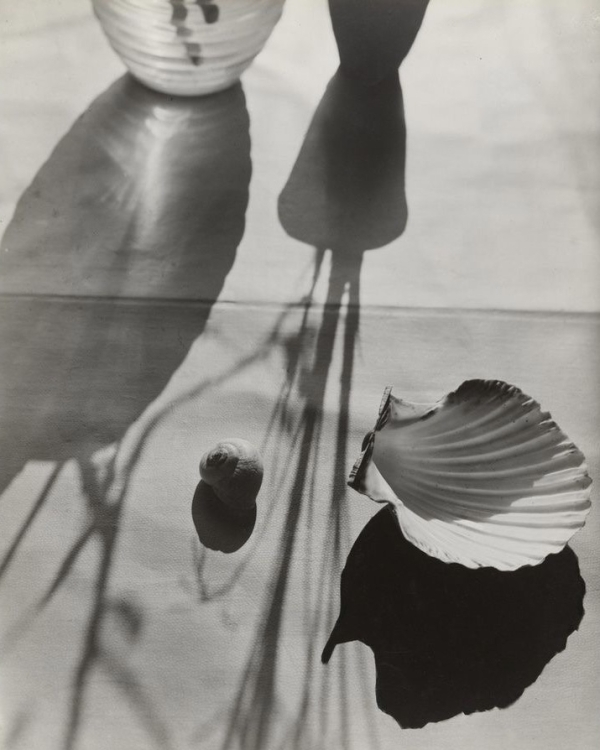 Бьюти-гороскоп на ноябрь: когда делать стрижки, окрашивание,