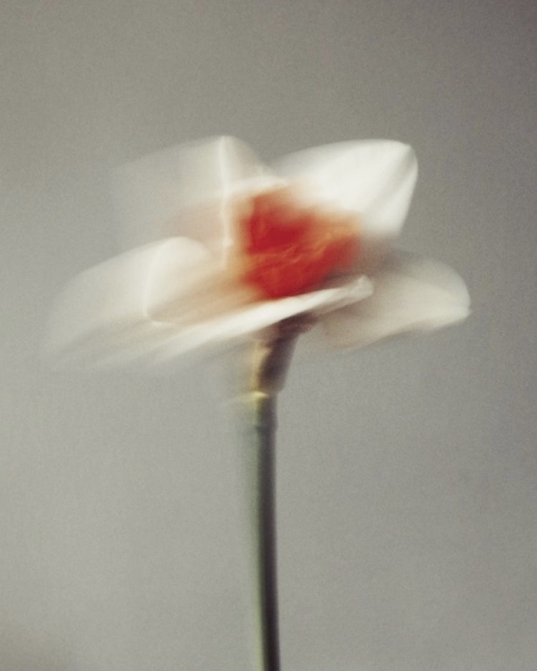 Бьюти-гороскоп на декабрь: когда делать стрижки, окрашивание,