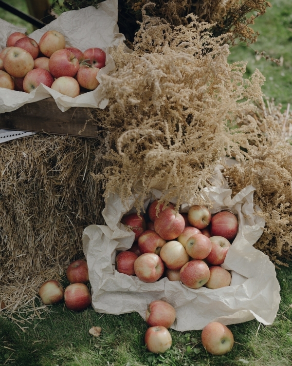 Самые запоминающиеся свадьбы сезона 2022