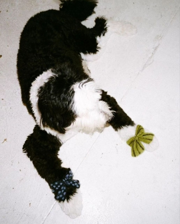 Банты: обратно в детство с новым трендом