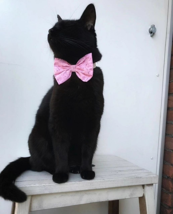 Банты: обратно в детство с новым трендом