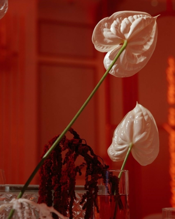 Сет-дизайн, AI и много розового. Показываем самые