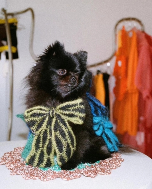 Банты: обратно в детство с новым трендом