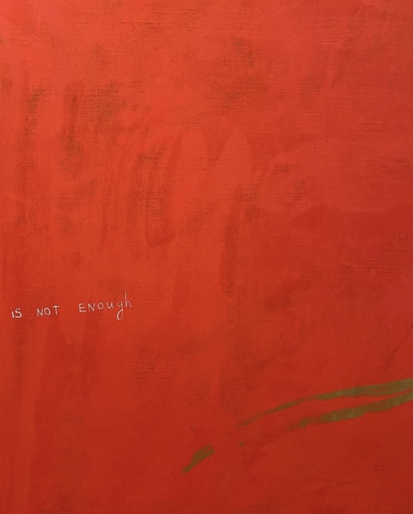 Лекция об «успешном успехе», каток с видом