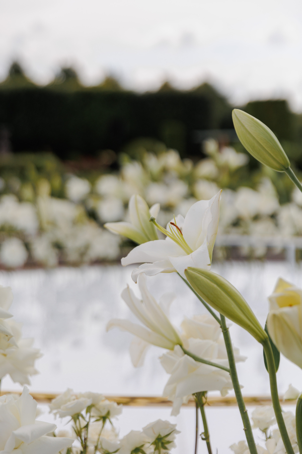 История одного декора: церемония во французском саду,