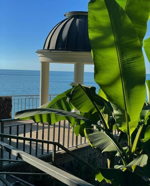 Самые красивые отели для свадьбы в Грузии