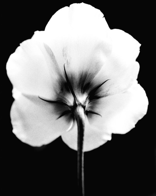 Почему я до сих пор не замужем?