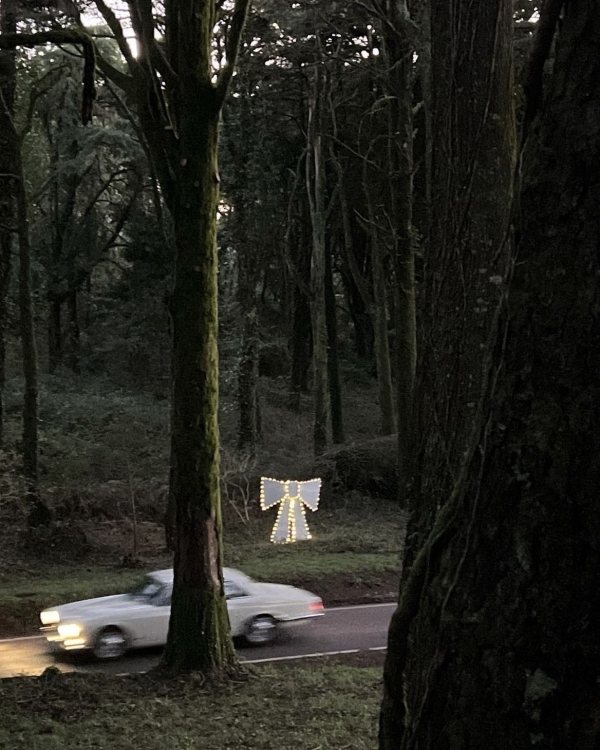 Праздник к нам приходит. Куда уехать загород