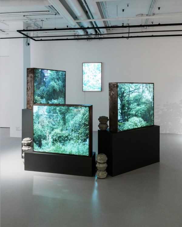 Долгожданный Щукин в «Пушкинском», «Паддингтон-3» в центре