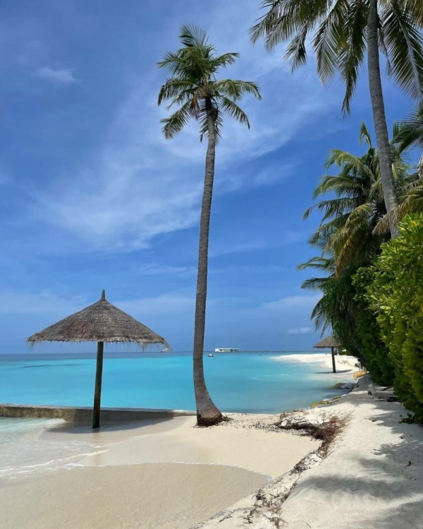 Два билета в лето, пожалуйста. 10 лучших