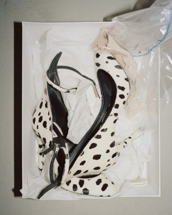 «Ты можешь выбрать любого питомца, которого ты