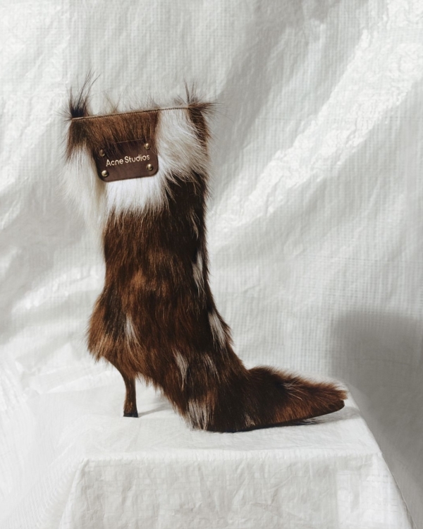 «Ты можешь выбрать любого питомца, которого ты