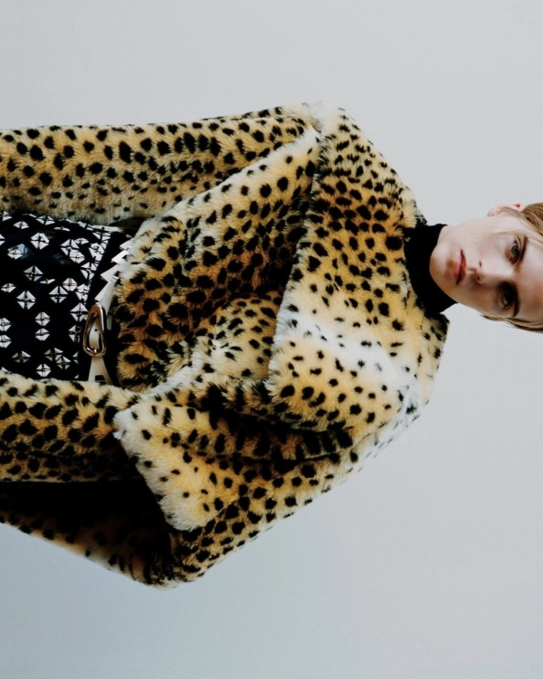 «Ты можешь выбрать любого питомца, которого ты