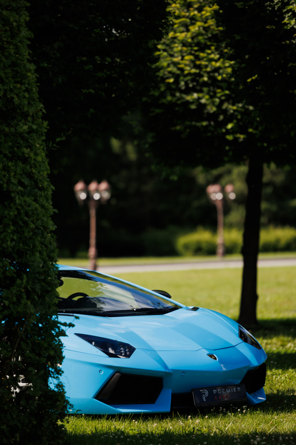 Больше, чем декор: 5 уникальных проектов декоратора